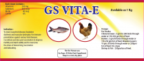 GS VITA-E